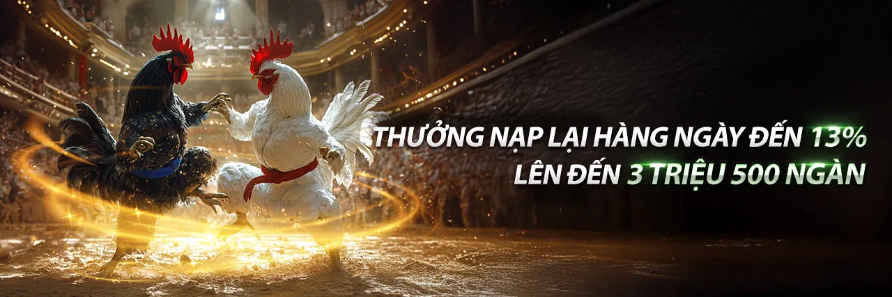 Đá Gà Trực Tuyến mcw888 hiện đang mở